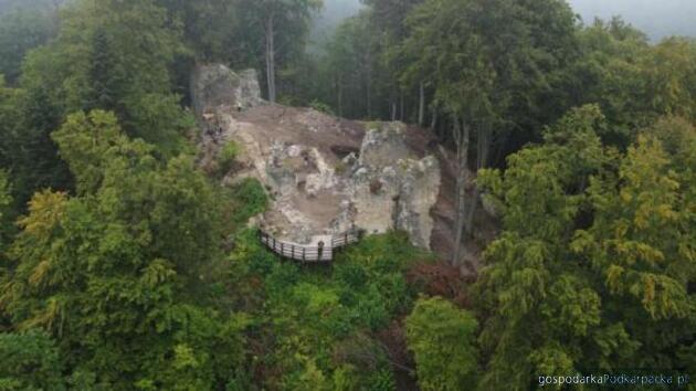 Fot. Nadleśnictwo Lesko