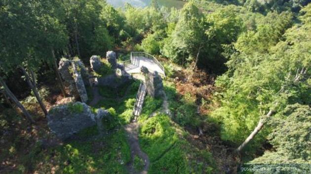 Fot. Nadleśnictwo Lesko