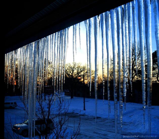 Fot. ilustracyjne (pixabay/CC0)