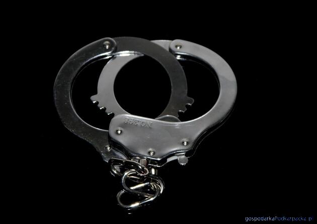 Fot. ilustracyjne (pixabay/CC0)