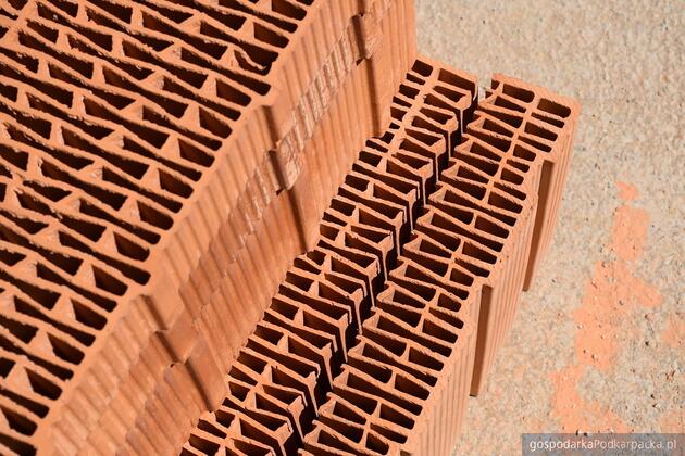 test Fot. Pixabay/CC0