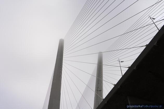 test Fot. Pixabay/CC0