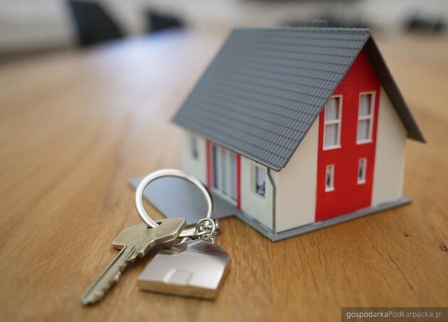 Fot. ilustracyjne (pixabay/CC0)