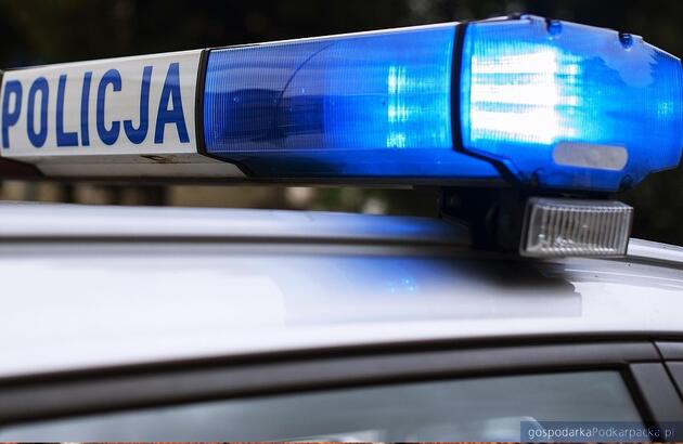 Fot. ilustracyjne (pixabay/CC0)