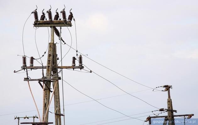 Fot. ilustracyjne (pixabay/CC0)