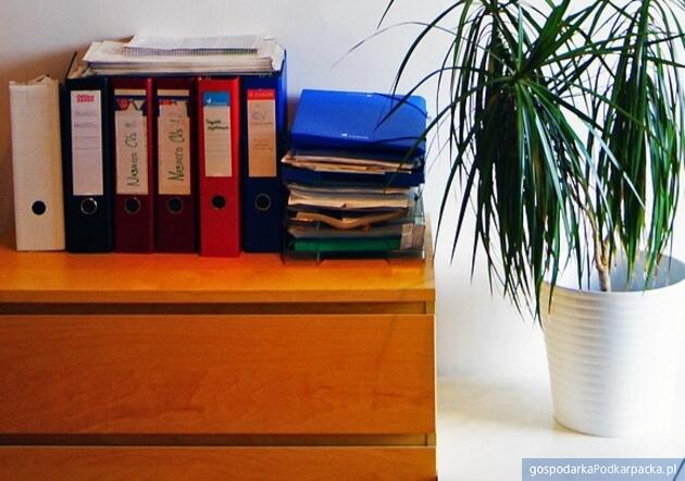 Fot. ilustracyjne (pixabay/CC0)