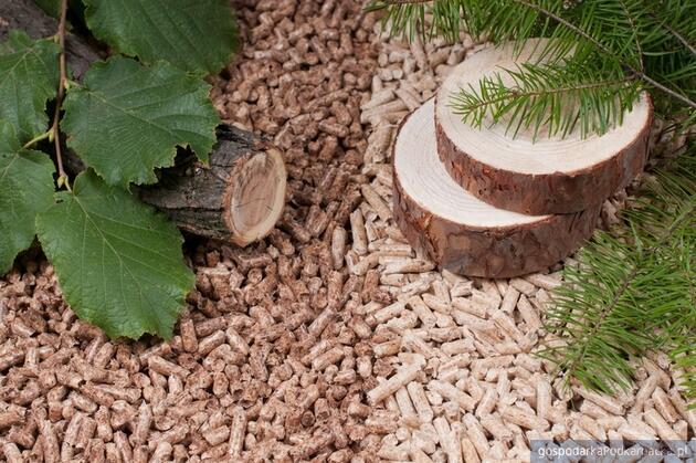 Fot. IGU OZE i Polskiego Przemysłu