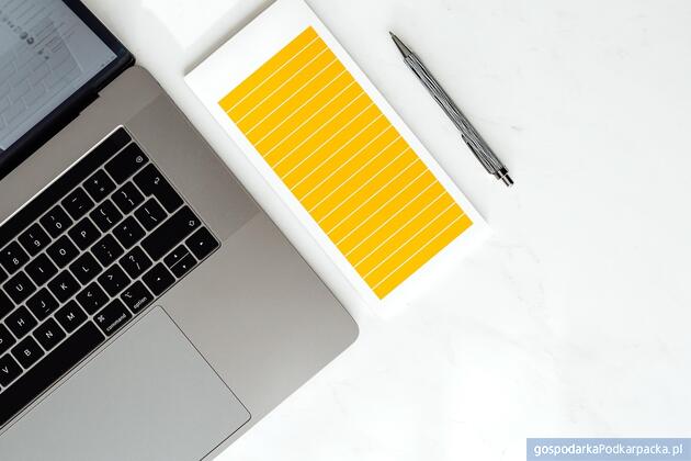 Fot. ilustracyjne (pixabay/CC0)