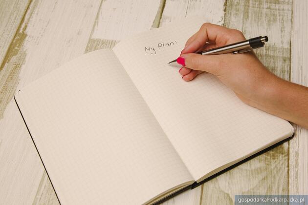 Fot. ilustracyjne (pixabay/CC0)