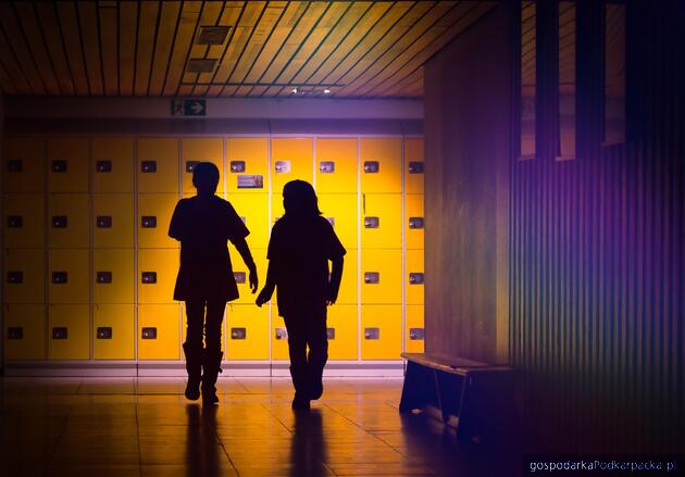 Gmina Przemyśl zamawia projekt nowego kompleksu szkolnego