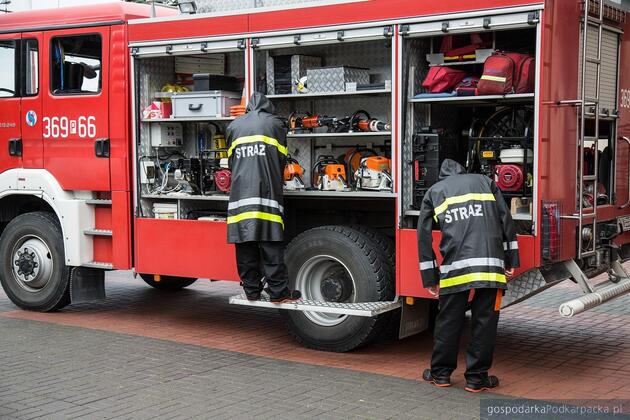 Fot. ilustracyjne (pixabay/CC0)