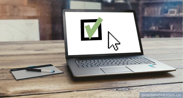 Fot. ilustracyjne (pixabay/CC0)