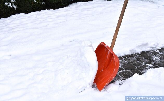 Fot. ilustracyjne (pixabay/CC0)