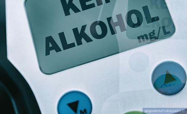 Fot. ilustracyjne (pixabay/CC0)