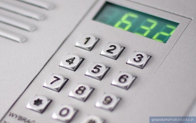 test Fot. Pixabay/CC0