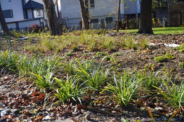 Fot. powiat jasielski