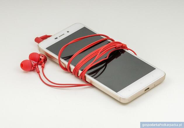 Fot. ilustracyjne (pixabay/CC0)