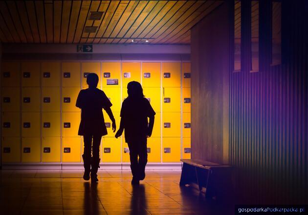 Fot. ilustracyjne (pixabay/CC0)