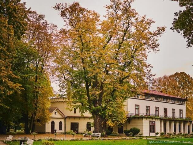 Fot. materiały prasowe