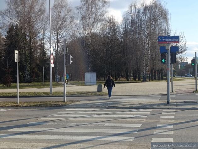 Fot. Dominik Zawistowski