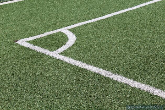 Fot. Pixabay/CC0 (ilustracyjne)