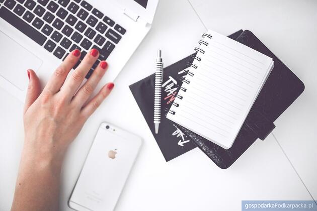 test Fot. Pixabay/CC0