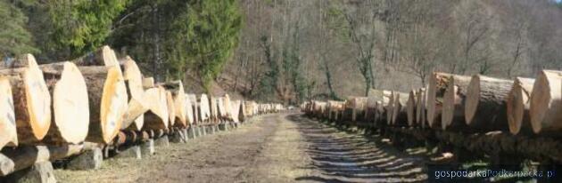 I już... po XXVII Submisji Drewna &bdquo;Krosno 2026&rdquo;