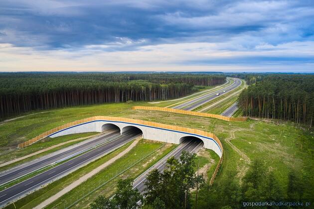 Fot. GDDKiA