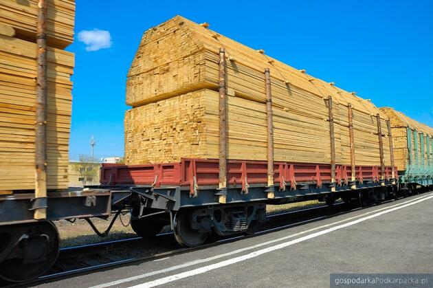 Fot. ilustracyjne (pixabay/CC0)