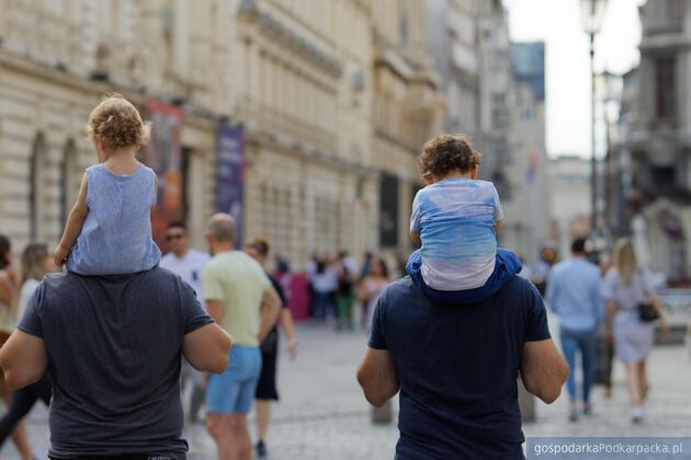 Fot. ilustracyjne (pixabay/CC0)