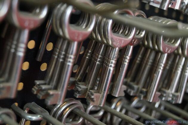 Fot. ilustracyjne (pixabay/CC0)