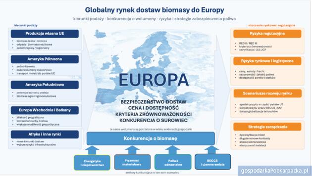 Wykres 2. Rynek globalny biomasy z perspektywy Europy Źródło: opracowanie własne Tomasz Mirowski, IPE