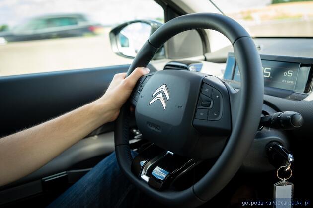 Fot. ilustracyjne (pixabay/CC0)