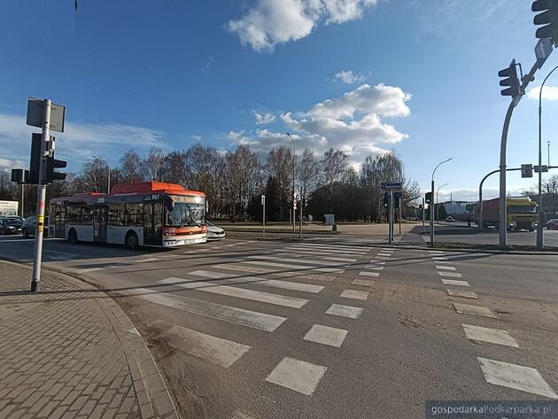 Fot. Dominik Zawistowski