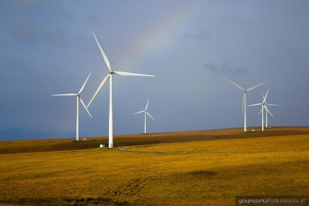 Fot. ilustracyjne (pixabay/CC0)