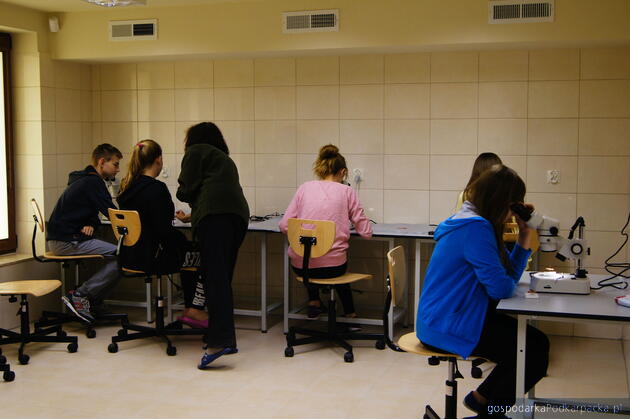 Fot. ilustracyjne - stacja Wołosate (BdPN)