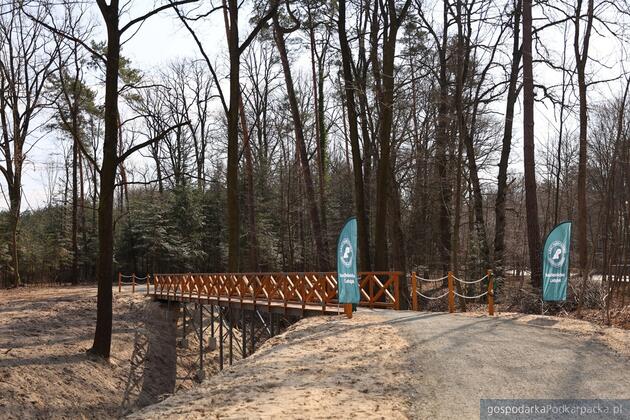 Fot. powiat leżajski (Natalia Nowicka)