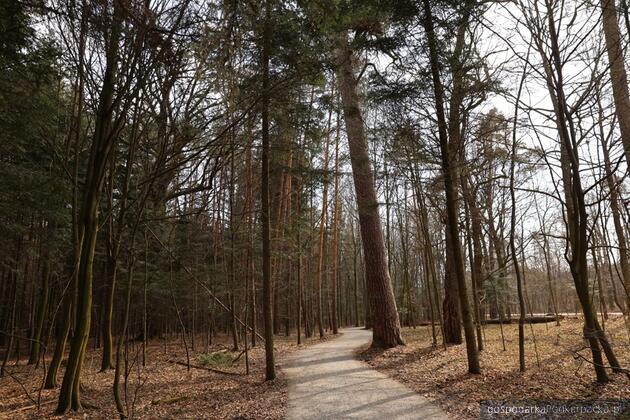 Fot. powiat leżajski (Natalia Nowicka)