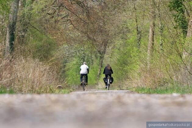 Fot. ilustracyjne (pixabay/CC0)