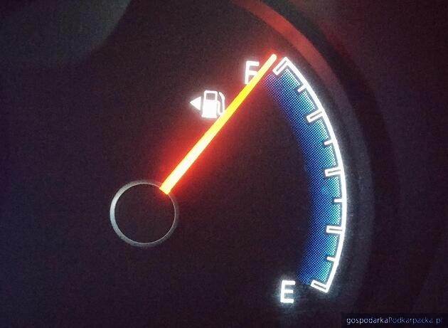 Fot. ilustracyjne (pixabay/CC0)