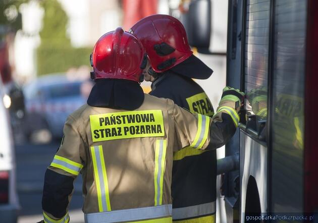 Fot. ilustracyjne (pixabay/CC0)