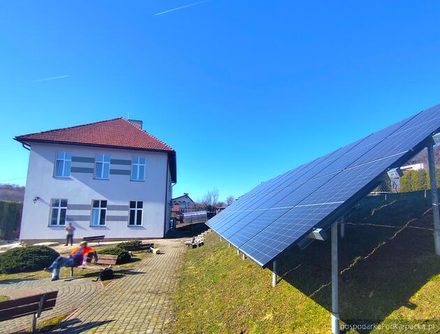 Fot. Jawornik Polski