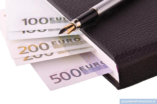 Fot. ilustracyjne (pixabay/CC0)