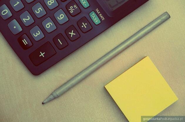 Fot. ilustracyjne (pixabay/CC0)