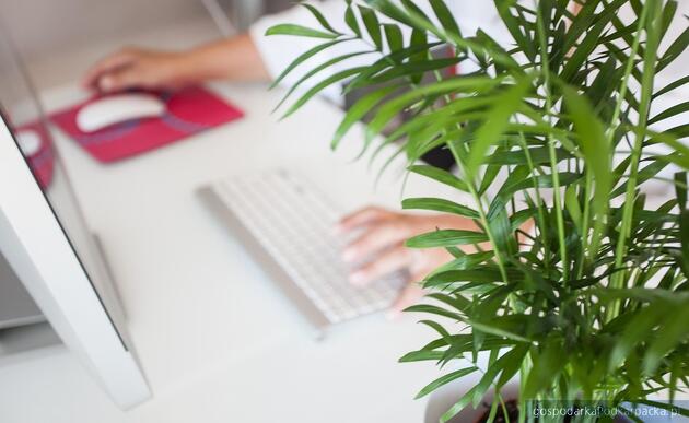 Fot. ilustracyjne (pixabay/CC0)