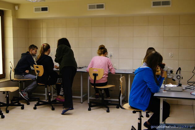 Terenowa Stacja Badań Naukowych w Wołosatem Fot. BdPN 