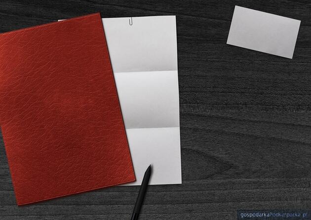 Fot. ilustracyjne (pixabay/CC0)