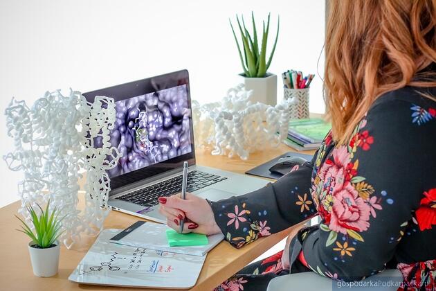 Fot. ilustracyjne (pixabay/CC0)