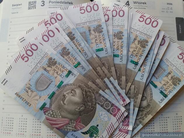 BGK przeznaczył w 2025 r. blisko p&oacute;ł biliona złotych na zwiększenie konkurencyjności i innowacyjności polskiej gospodarki