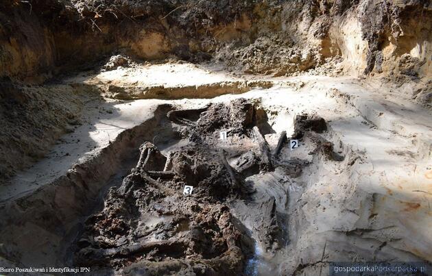 Mogiła odkopana w 2023 r. Fot. IPN